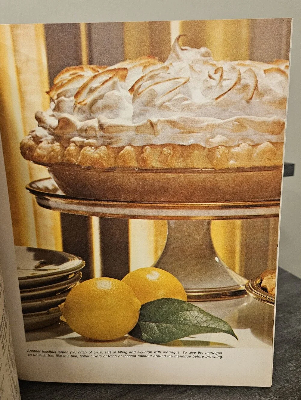 Vintage 1972 Family Circle Illustrated Library of Cooking Volume 12 Hardcover
